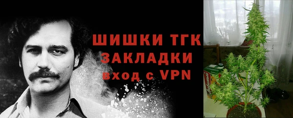mdpv Пестово