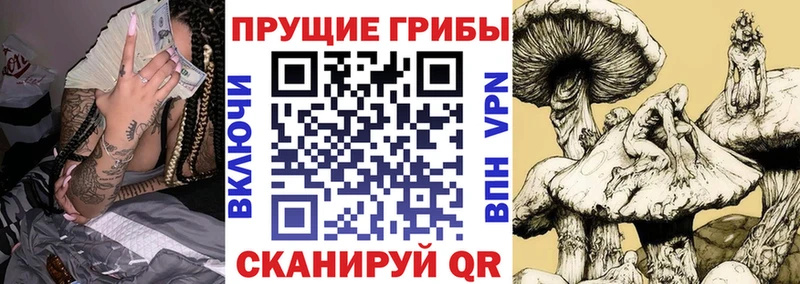 Галлюциногенные грибы Magic Shrooms где найти наркотики Уржум